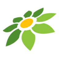 CARA PAYLATER TOKOPEDIA
